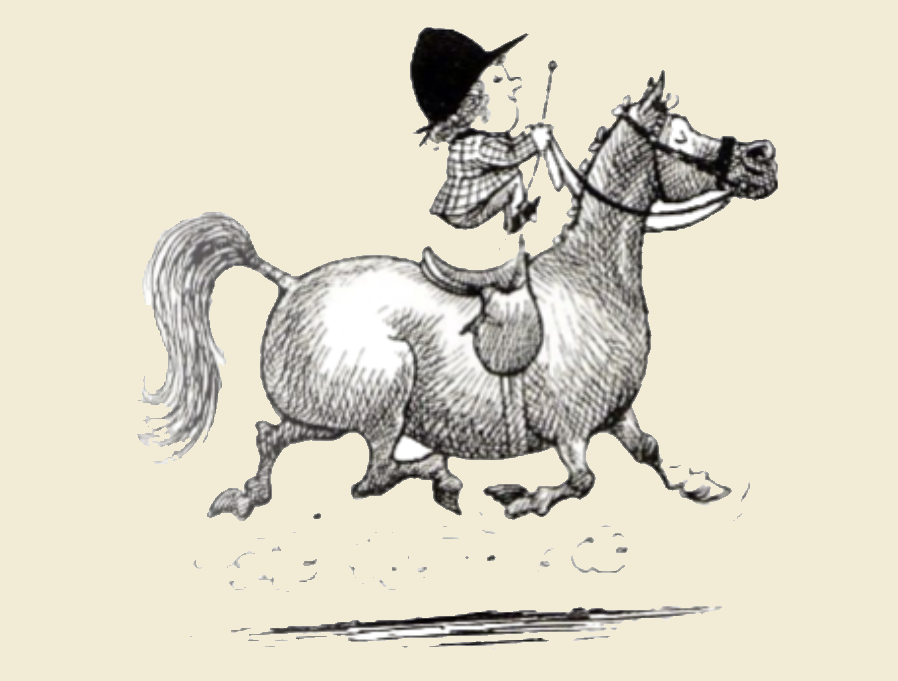 Reitunterricht mit Pferd und Reiter (Platzhalterbild)